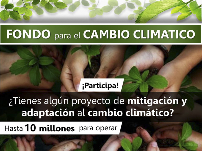 AMLO lanza convocatoria para proyectos que combatan el cambio climático