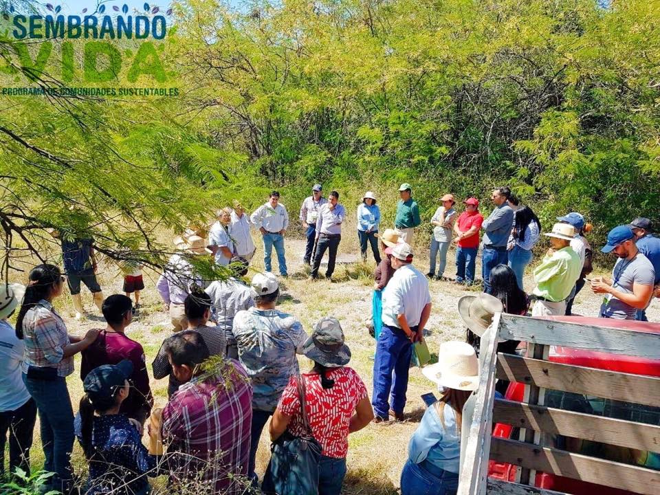 Sembrando Vida se amplía a Manzanillo y Villa de Álvarez: Indira Vizcaíno