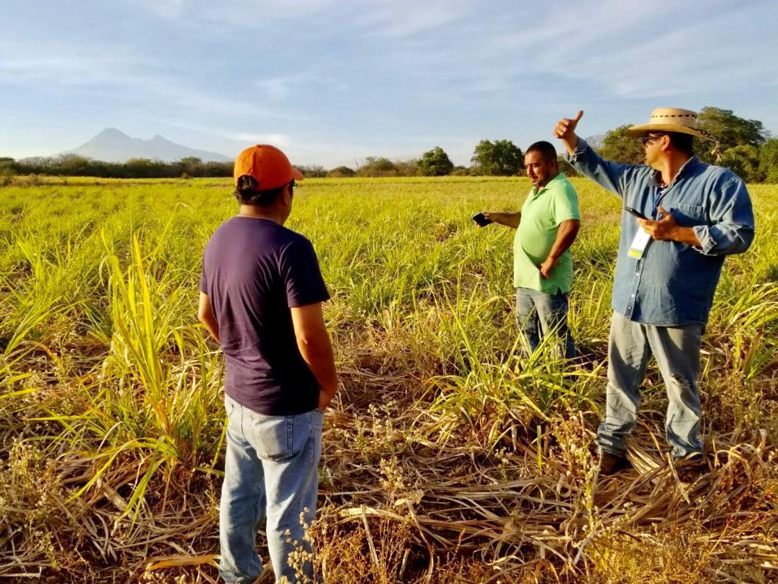 Sembrando vida dispersa más de 17 MDP en Colima, anuncia Indira Vizcaíno