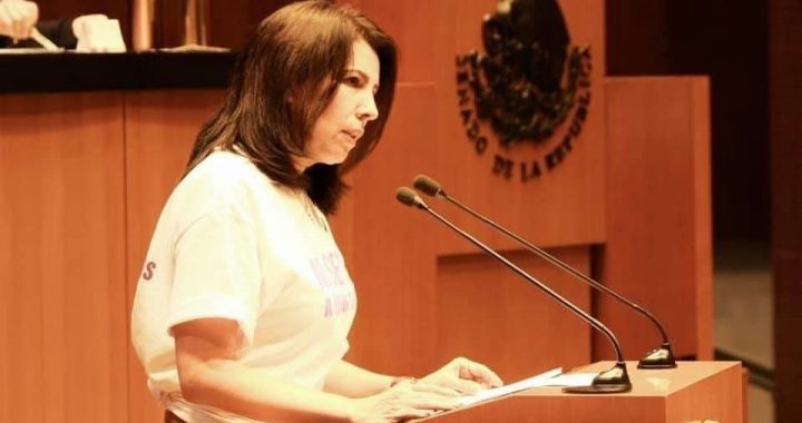 Senadora Gricelda Valencia llama a Diputados de Morena, PT y PVEM a no aprobar la solicitud de Crédito del Gobernador