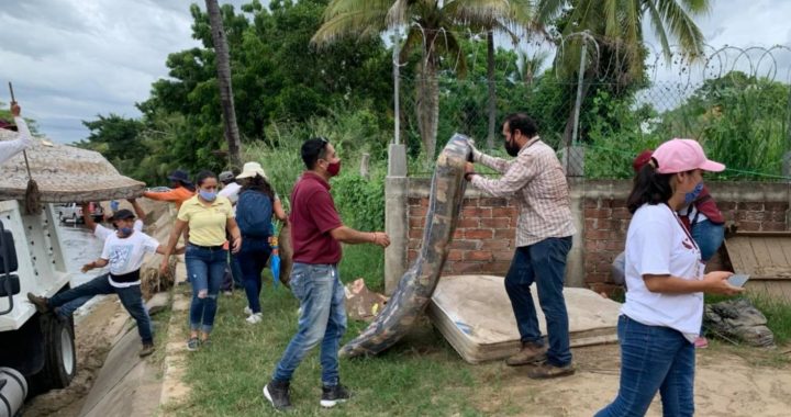 Griselda Martínez pide al Gob. del Edo. que fumigue ante incremento de dengue en Manzanillo