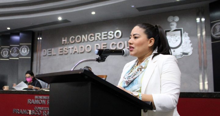 Al desechar juicio político, PRIAN busca generar impunidad a Gobernador: Ana Karen Hernández