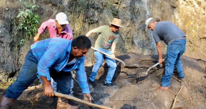 CIAPACOV, Semabrando Vida y el Dip. Alfredo Álvarez realizan brigada comunitaria en las Guásimas