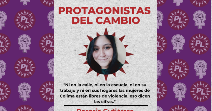 Ni en la calle, ni en la escuela, ni en su trabajo y ni en sus hogares las mujeres de Colima están libres de violencia, eso dicen las cifras