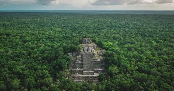SEMARNAT crea nuevas Áreas Naturales Protegidas en ruta de Tren Maya