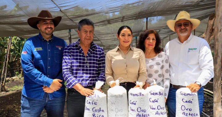 Gobierno de Colima impulsa la producción de café en el estado: Subseder