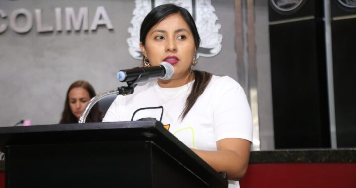 Diputada Isamar Ramírez informa sobre avances para que la Ley Malena en México y en Colima.