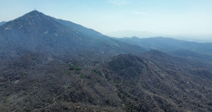 Incendio forestal en Manzanillo está totalmente controlado