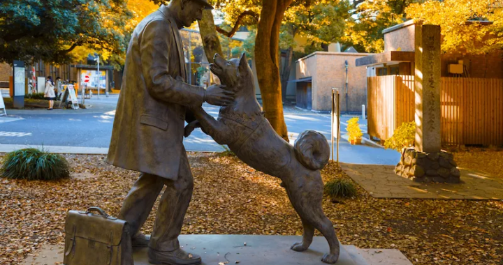 La emotiva historia de Hachiko, el «perro más fiel del mundo»