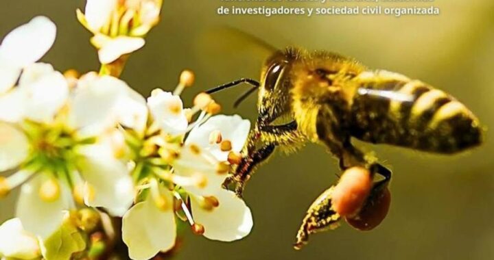 Colima, referente nacional en la protección de polinizadores: Diputado Alfredo Álvarez