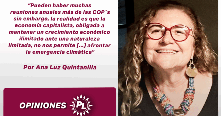 El fracaso de las COP´s sobre la crisis climática