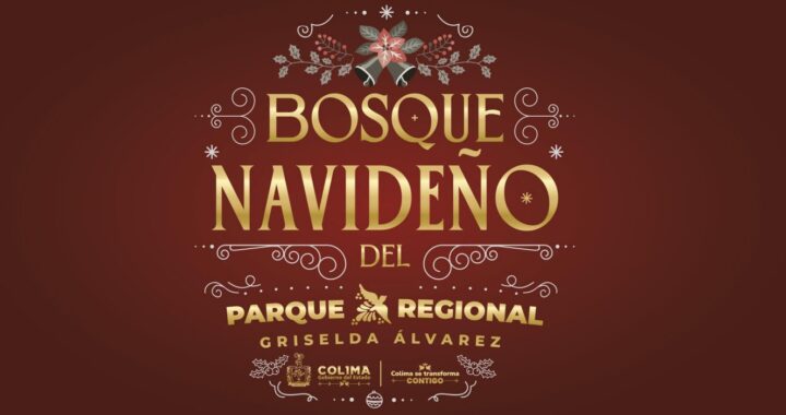 Bosque Navideño: Un Espacio de Alegría y Unión en Colima