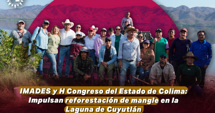 IMADES y H Congreso del Estado de Colima: Impulsan reforestación de mangle en la Laguna de Cuyutlán